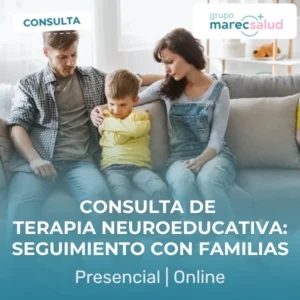 Consulta de terapia neuroeducativa orientada a familias
